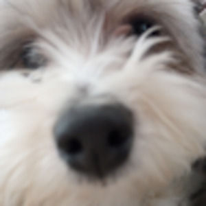 Meet your Posher, Madison